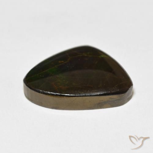 Ammolite Multicolore naturelle Fantaisie, 11.37 ct, Opaque