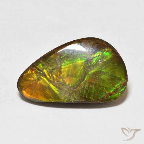 14.61ct Naturel Multicolore Ammolite, Fantaisie, Opaque