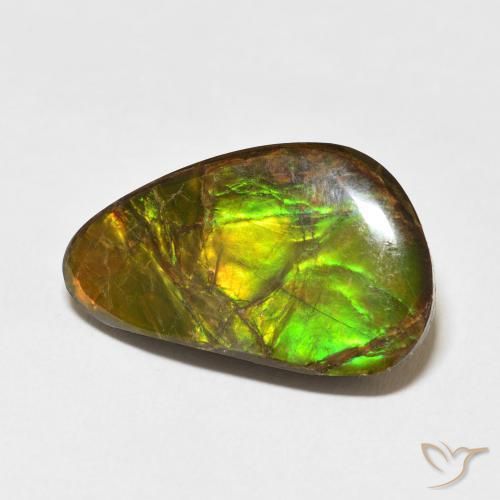 Ammolite Multicolore naturelle Fantaisie, 14.61 ct, Opaque