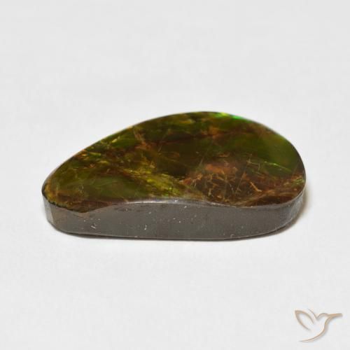 Ammolite Multicolore naturelle Fantaisie, 14.61 ct, Opaque
