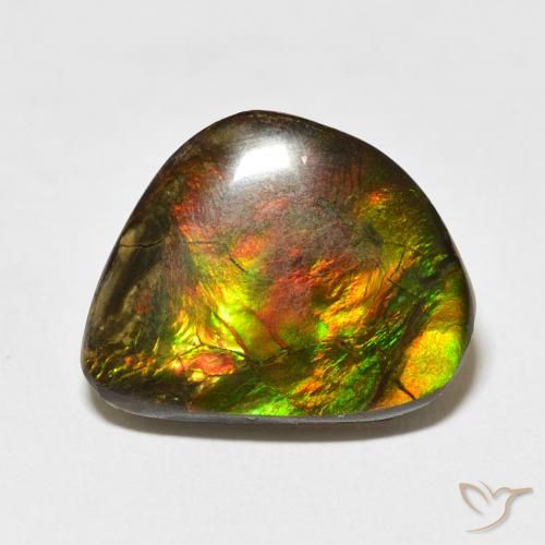 11.60ct Naturel Multicolore Ammolite, Fantaisie, Opaque