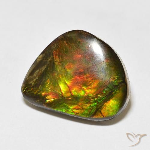Ammolite Multicolore naturelle Fantaisie, 11.60 ct, Opaque