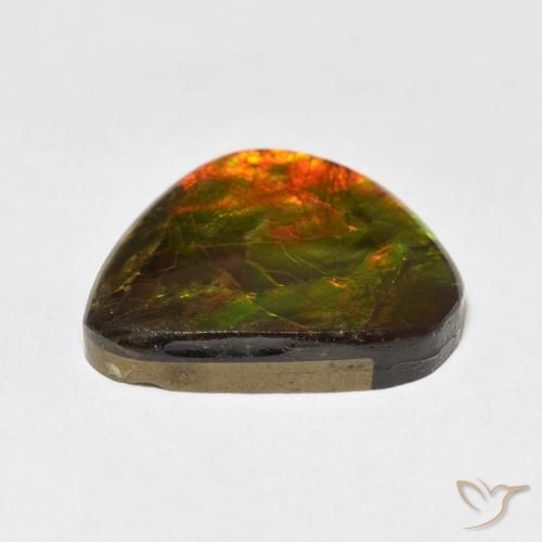 Ammolite Multicolore naturelle Fantaisie, 11.60 ct, Opaque