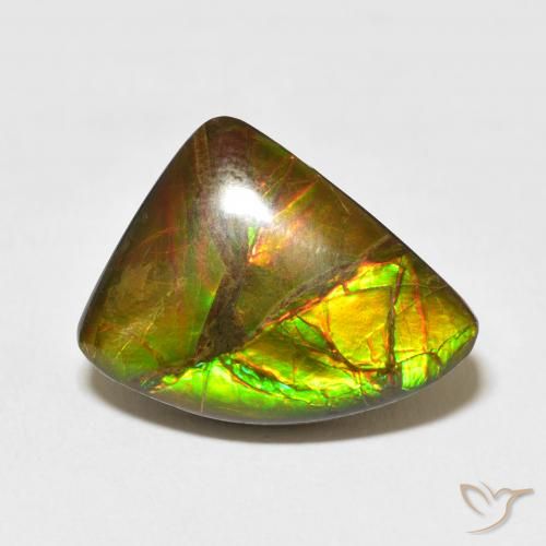 10.22ct Naturel Multicolore Ammolite, Fantaisie, Opaque