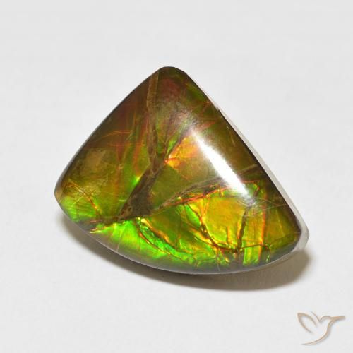 Ammolite Multicolore naturelle Fantaisie, 10.22 ct, Opaque