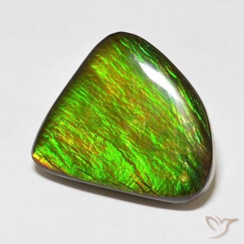 Ammolite Multicolore naturelle Fantaisie, 16.47 ct, Opaque