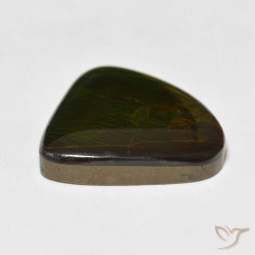 Ammolite Multicolore naturelle Fantaisie, 16.47 ct, Opaque