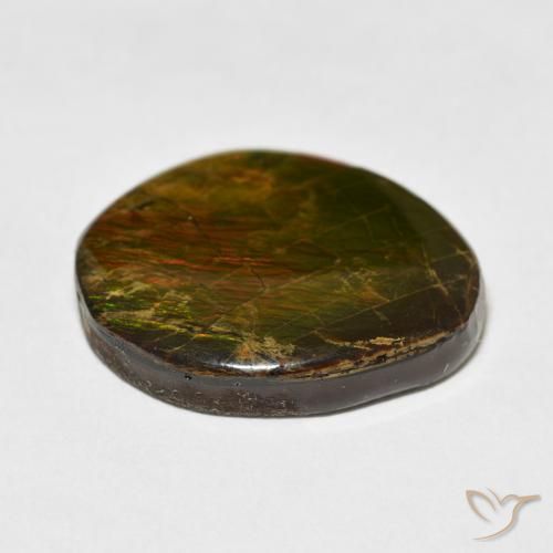 Ammolite Multicolore naturelle Fantaisie, 17.77 ct, Opaque