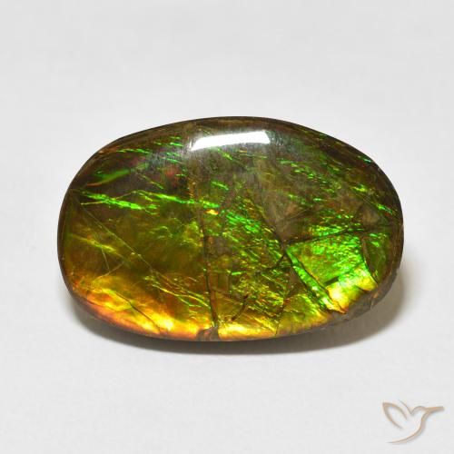 16.55ct Naturel Multicolore Ammolite, Fantaisie, Opaque
