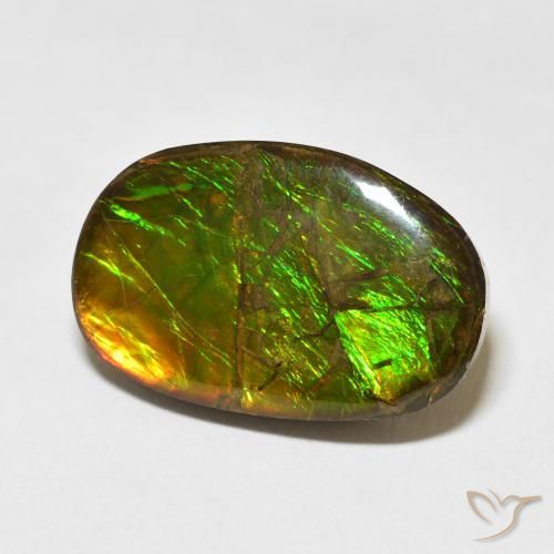 Ammolite Multicolore naturelle Fantaisie, 16.55 ct, Opaque