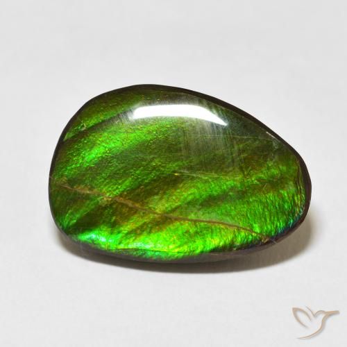 15.09ct Naturel Multicolore Ammolite, Fantaisie, Opaque