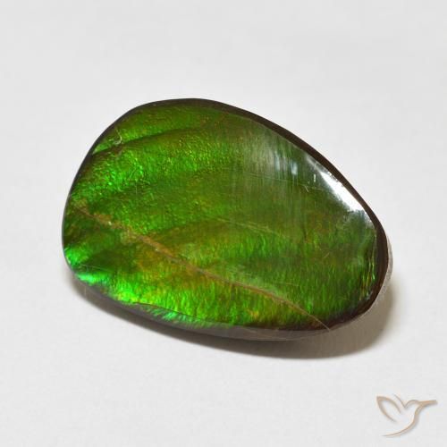 Ammolite Multicolore naturelle Fantaisie, 15.09 ct, Opaque