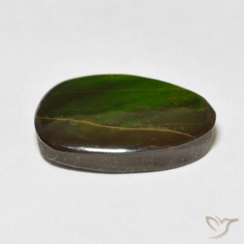 Ammolite Multicolore naturelle Fantaisie, 15.09 ct, Opaque