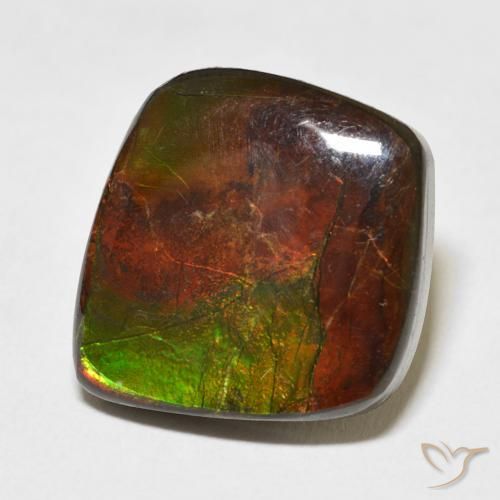 Ammolite Multicolore naturelle Fantaisie, 11.81 ct, Opaque