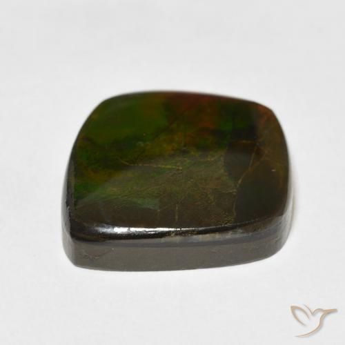 Ammolite Multicolore naturelle Fantaisie, 11.81 ct, Opaque