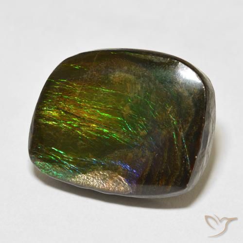 Ammolite Multicolore naturelle Fantaisie, 19.50 ct, Opaque