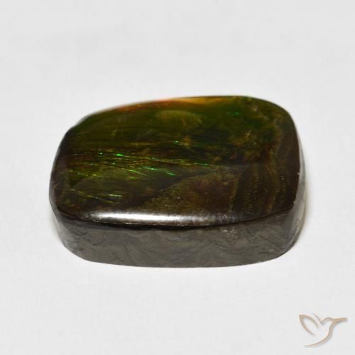 Ammolite Multicolore naturelle Fantaisie, 19.50 ct, Opaque