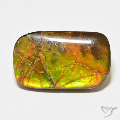 16.23ct Naturel Multicolore Ammolite, Coussin, Opaque