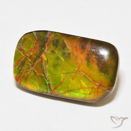 Ammolite Multicolore naturelle Coussin, 16.23 ct, Opaque