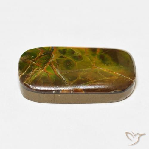 Ammolite Multicolore naturelle Coussin, 16.23 ct, Opaque