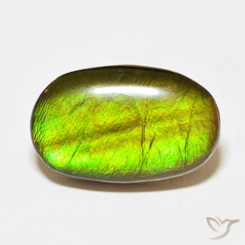 13.74ct Naturel Multicolore Ammolite, ovale, Opaque