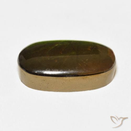 Ammolite Multicolore naturelle ovale, 13.74 ct, Opaque