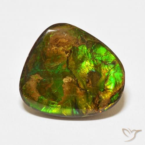 13.95ct Naturel Multicolore Ammolite, Fantaisie, Opaque