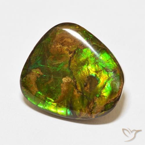 Ammolite Multicolore naturelle Fantaisie, 13.95 ct, Opaque