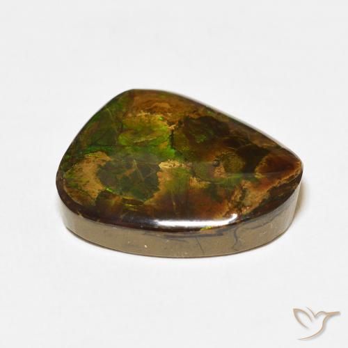 Ammolite Multicolore naturelle Fantaisie, 13.95 ct, Opaque