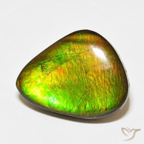 Ammolite Multicolore naturelle Fantaisie, 15.27 ct, Opaque