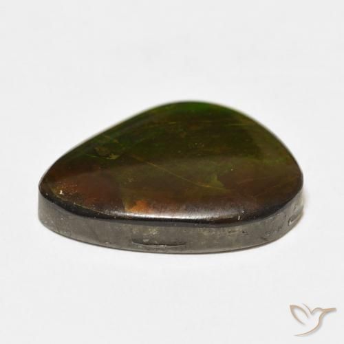 Ammolite Multicolore naturelle Fantaisie, 15.27 ct, Opaque