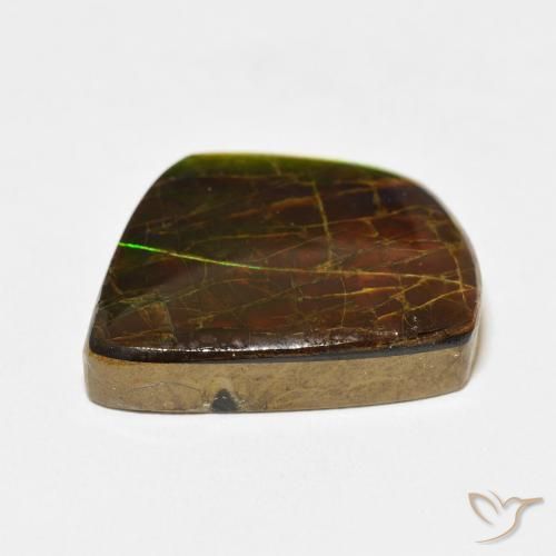 Ammolite Multicolore naturelle Fantaisie, 21.56 ct, Opaque