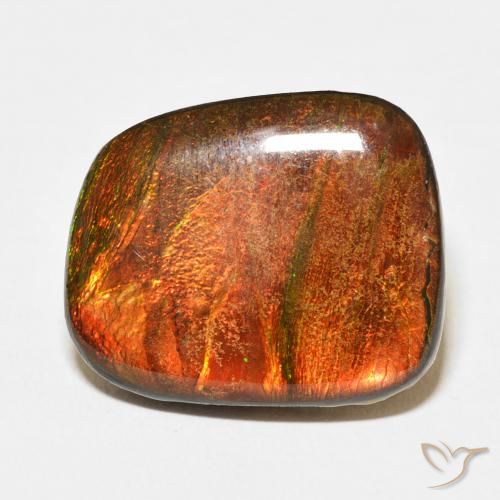 14.15ct Naturel Multicolore Ammolite, Fantaisie, Opaque