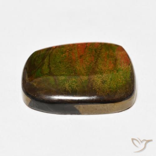 Ammolite Multicolore naturelle Fantaisie, 14.15 ct, Opaque