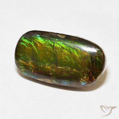 Ammolite Multicolore naturelle Fantaisie, 12.73 ct, Opaque
