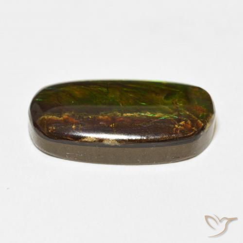 Ammolite Multicolore naturelle Fantaisie, 12.73 ct, Opaque