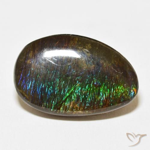 14.24ct Naturel Multicolore Ammolite, Fantaisie, Opaque
