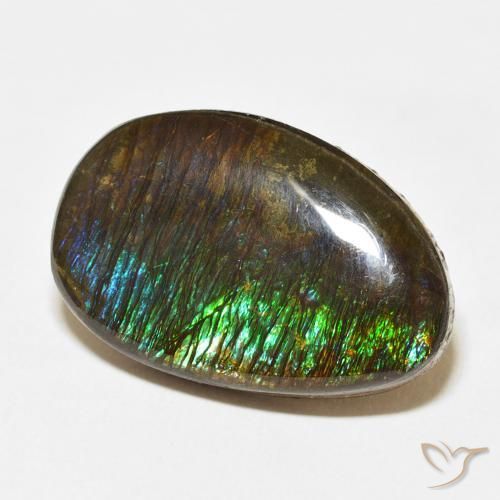 Ammolite Multicolore naturelle Fantaisie, 14.24 ct, Opaque