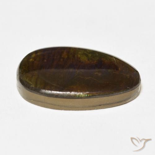 Ammolite Multicolore naturelle Fantaisie, 14.24 ct, Opaque