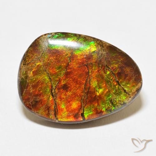 15.07ct Naturel Multicolore Ammolite, Fantaisie, Opaque
