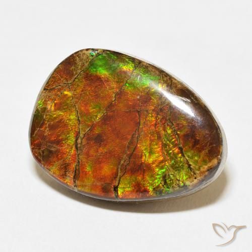 Ammolite Multicolore naturelle Fantaisie, 15.07 ct, Opaque