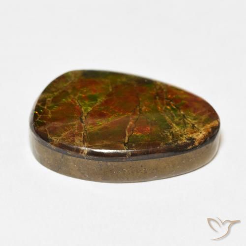 Ammolite Multicolore naturelle Fantaisie, 15.07 ct, Opaque