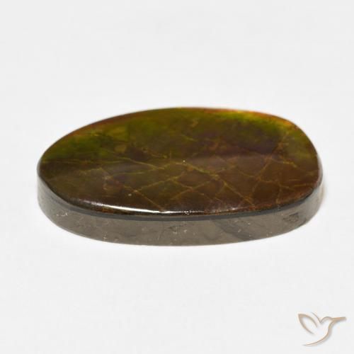 Ammolite Multicolore naturelle Fantaisie, 13.58 ct, Opaque
