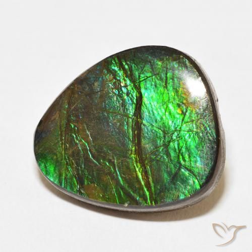 Ammolite Multicolore naturelle Fantaisie, 12.67 ct, Opaque