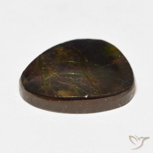 Ammolite Multicolore naturelle Fantaisie, 12.67 ct, Opaque