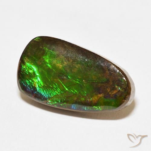 Ammolite Multicolore naturelle Fantaisie, 12.15 ct, Opaque