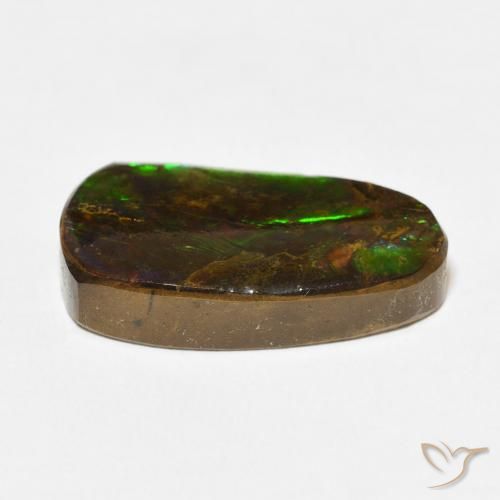 Ammolite Multicolore naturelle Fantaisie, 12.15 ct, Opaque