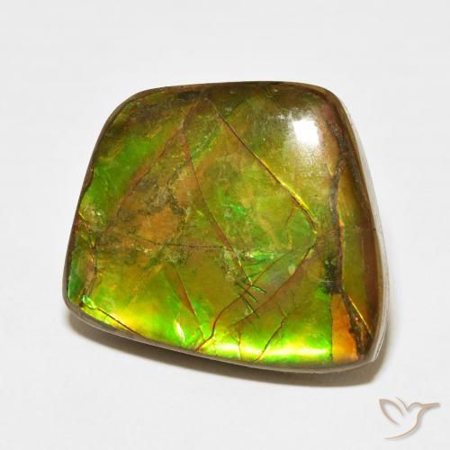 Ammolite Multicolore naturelle Fantaisie, 17.11 ct, Opaque