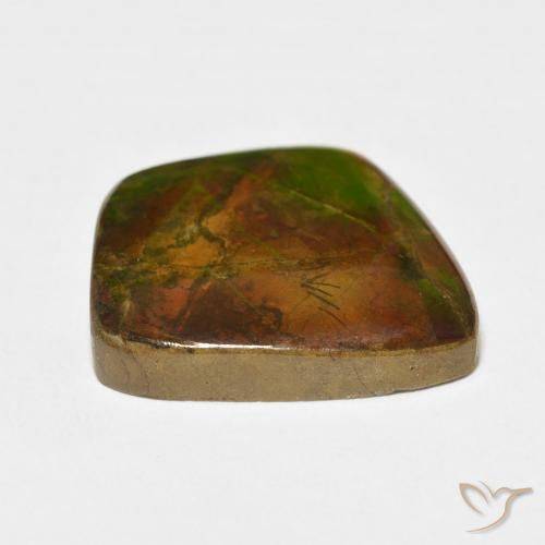 Ammolite Multicolore naturelle Fantaisie, 17.11 ct, Opaque