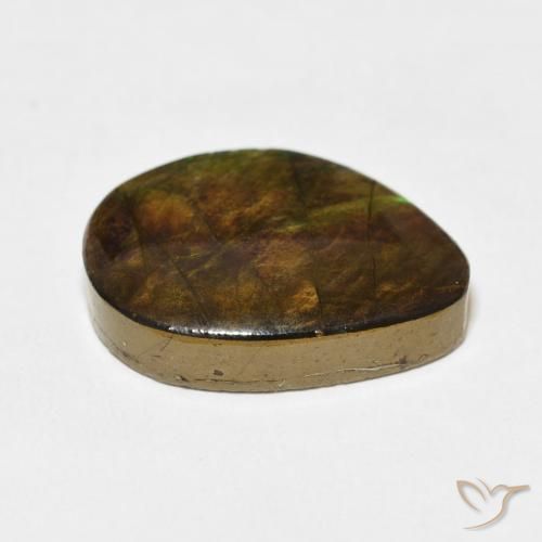 Ammolite Multicolore naturelle Fantaisie, 11.66 ct, Opaque